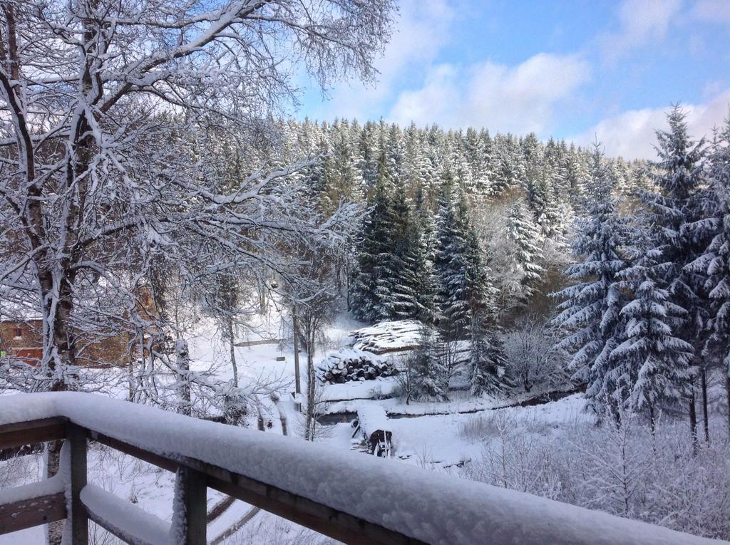 Fwv Chalet 2 Le Scandinave Бюллинген Экстерьер фото