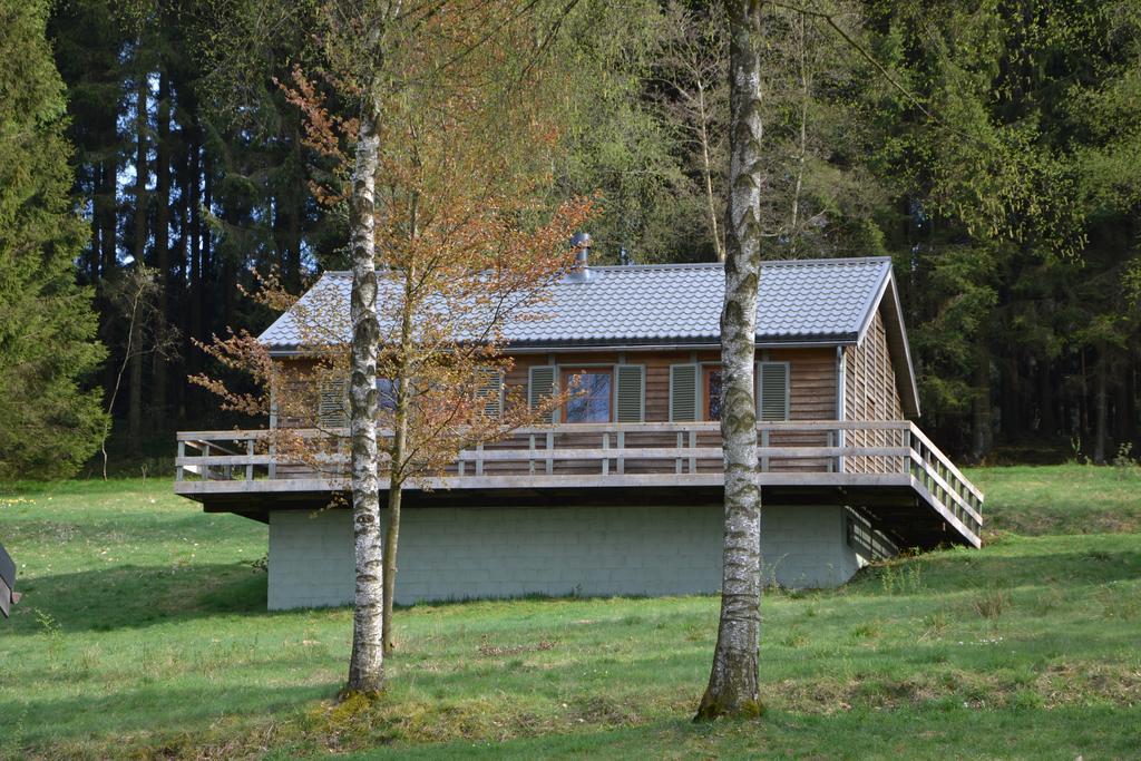 Fwv Chalet 2 Le Scandinave Бюллинген Экстерьер фото