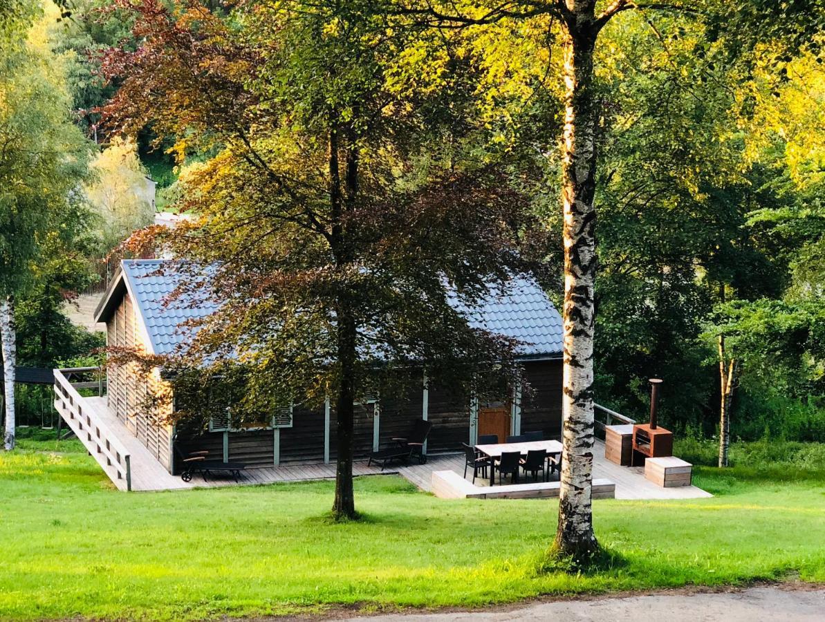 Fwv Chalet 2 Le Scandinave Бюллинген Экстерьер фото